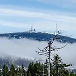 Harz Mit Elan *