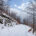 公寓 Harz Mit Elan 巴特哈尔茨堡