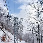 公寓 Harz Mit Elan