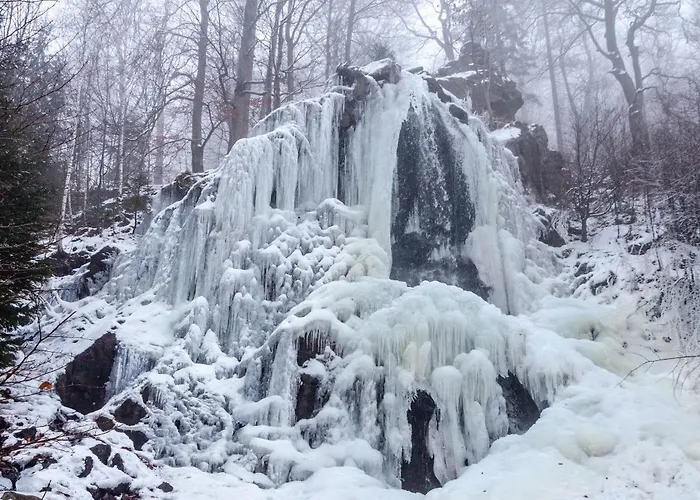 Apartamento Harz Mit Elan Bad Harzburg