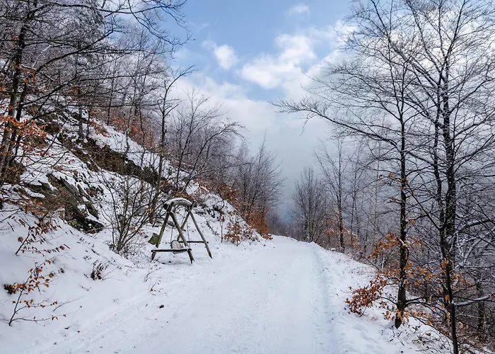 Apartamento Harz Mit Elan Bad Harzburg